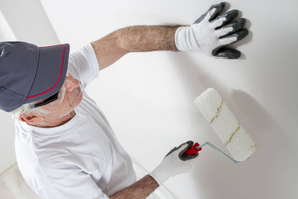 Dalton, OH Mold Removal Company