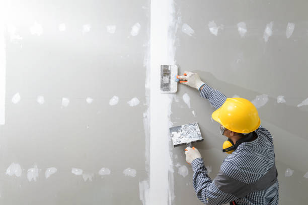 Best Airborne Mold Testing  in Dalton, OH