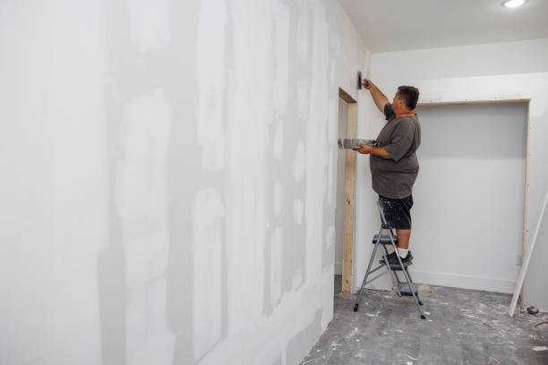 Best Mold Odor Removal Services  in Dalton, OH