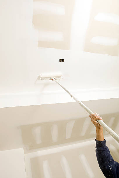 Best Comprehensive Air Testing for Mold Contaminants  in Dalton, OH